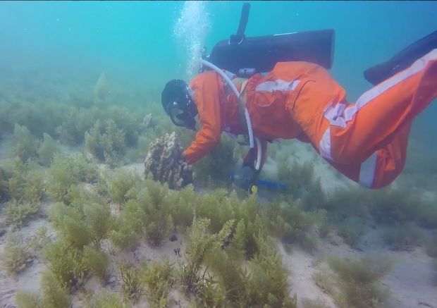 首页 | J9集团有限公司官网