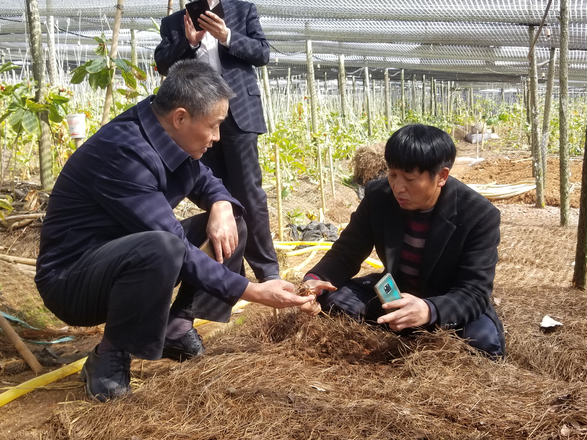 首页 | J9集团有限公司官网